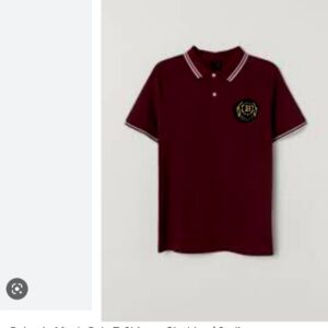 FIRST COPY BALMAIN IMPORTED COTTON LYCRA POLOS