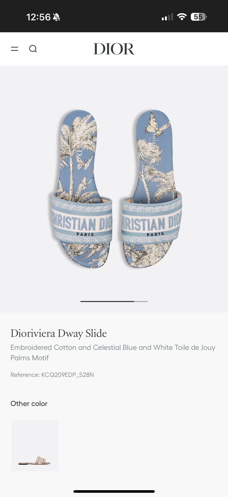 First Copy Christian Dior Dway Slides
