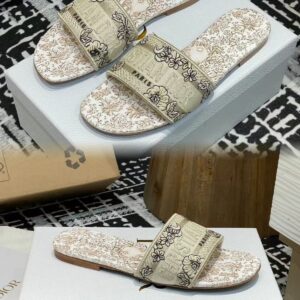 FIRST COPY CHRISTIAN DWAY SLIDES