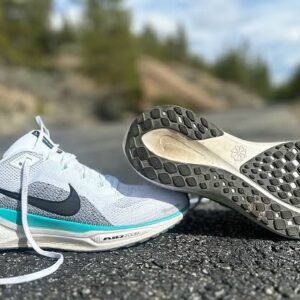 FIRST COPY Nike Pegasus 41 In Stock