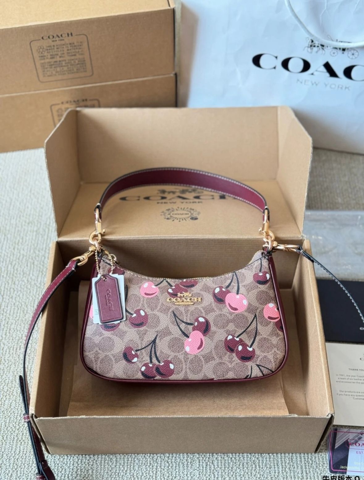 FIRST COPY COACH TERI SHOULDER SLING BAG